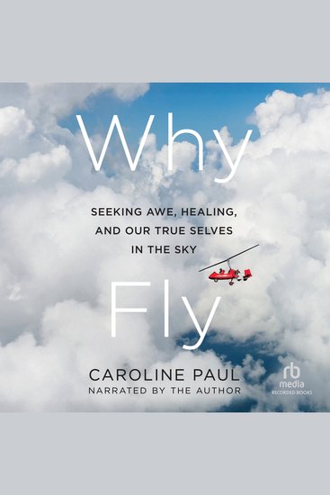 Why Fly - Seeking Awe Healing and Our True Selves in the Sky - cover