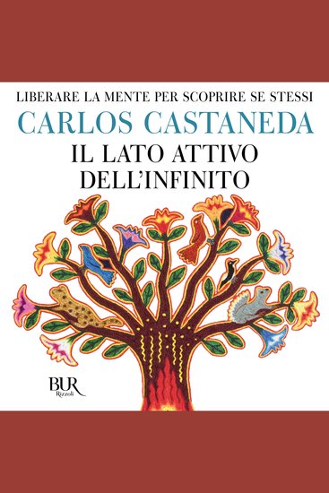 Il lato attivo dell'infinito - cover