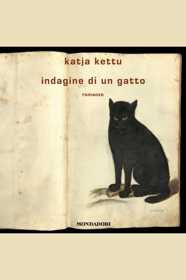 Indagine di un gatto - cover
