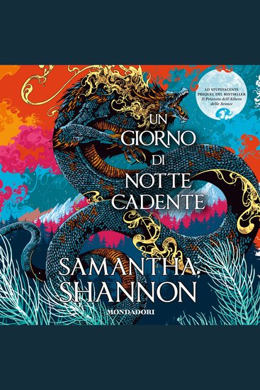 Un giorno di notte cadente - cover