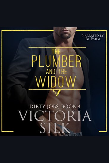 The Plumber and the Widow - cover