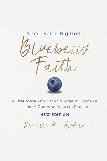 Blueberry Faith - A True Story About the Struggle to Conceive—and a God Who Answers Prayers - cover