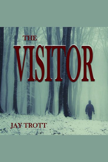 The Visitor - cover