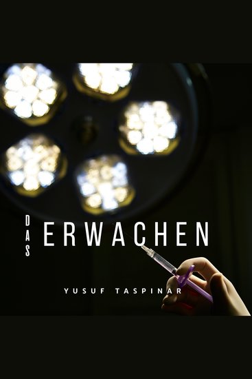 Das Erwachen - cover
