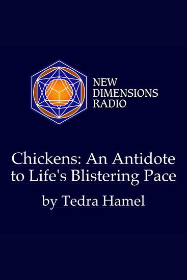 Chickens: An Antidote to Life’s Blistering Pace - cover