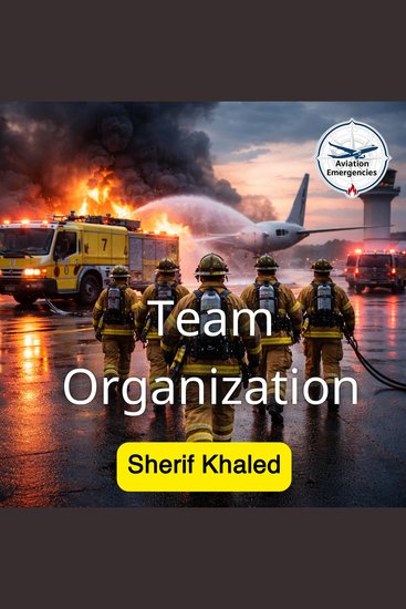 Team Organization - cover