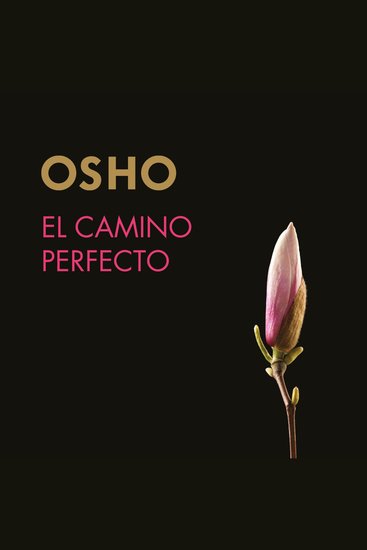 El camino perfecto (acento castellano) - cover