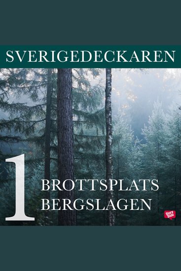 Brottsplats Bergslagen - cover
