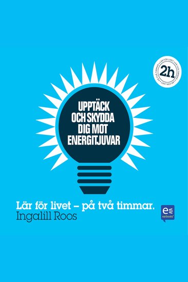 Upptäck och skydda dig mot energitjuvar : På en timme - cover