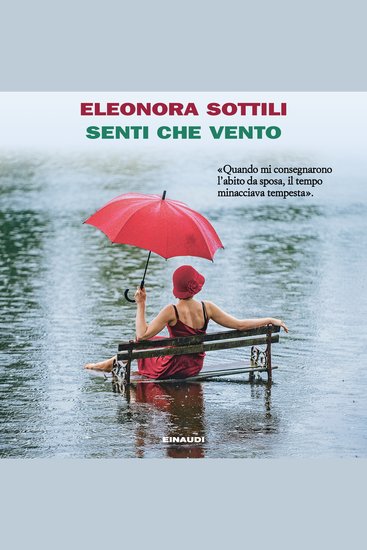 Senti che vento - cover