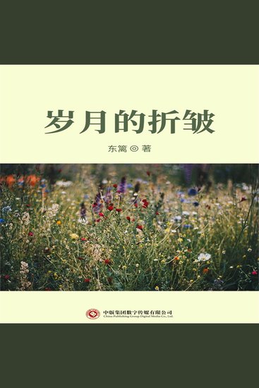 岁月的折皱 - cover