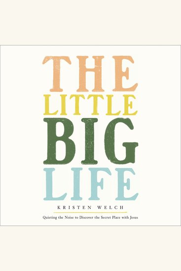 The Little Big Life - Quieting the Noise to Discover the Secret Place with Jesus - cover