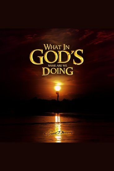 What In God's Name Are We Doing? - A Modern Examination of Economics Society and Global Power Structures - cover