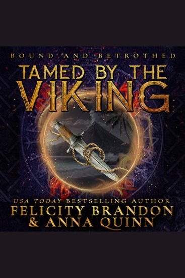 Tamed by the Viking - A Dark Viking Romance - cover