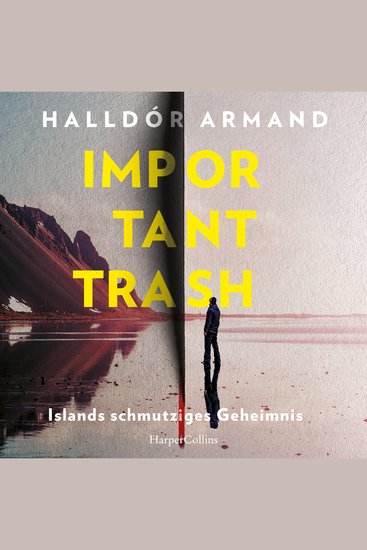 Important Trash: Islands schmutziges Geheimnis - Thriller | »Die Zukunft der isländischen Literatur Schon jetzt ein Klassiker!« – Steinar Bragi - cover