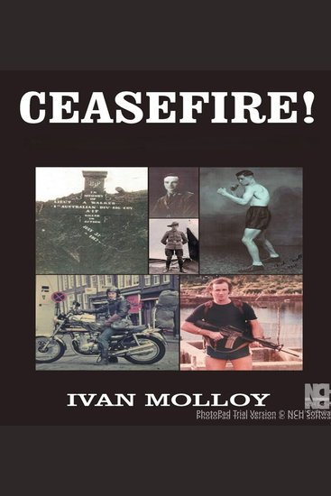 CEASEFIRE! - A Brutal Journey Through War Revolution Political Conflict & Islamic Terrorism - cover