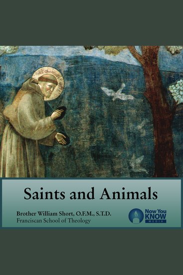 Saints and Animals - cover