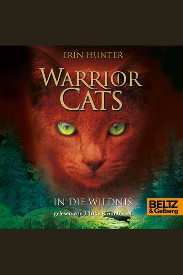 Warrior Cats In die Wildnis - Staffel I Band 1 - cover