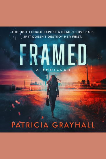 Framed - A Thriller - cover
