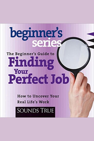 The Beginner’s Guide to Finding Your Perfect Job - How to Discover Your Real Life's Work - cover