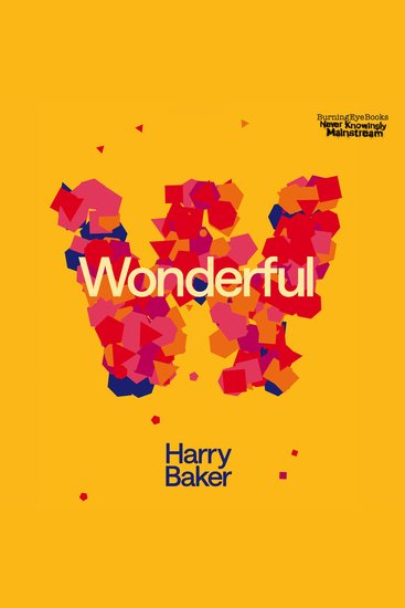 Wonderful - Sunday Times bestselling author - cover