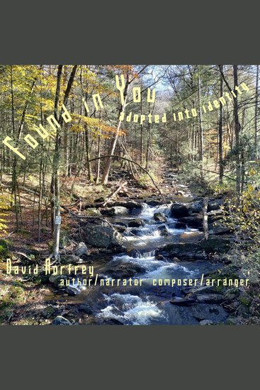 Found in You - adopted into identity - cover