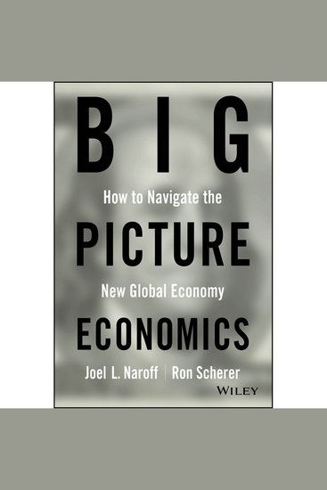 Big Picture Economics - How to Navigate the New Global Economy - cover