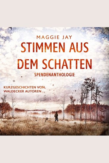 Stimmen aus dem Schatten - Spendenanthologie - Kurzgeschichten von Waldecker Autoren - cover