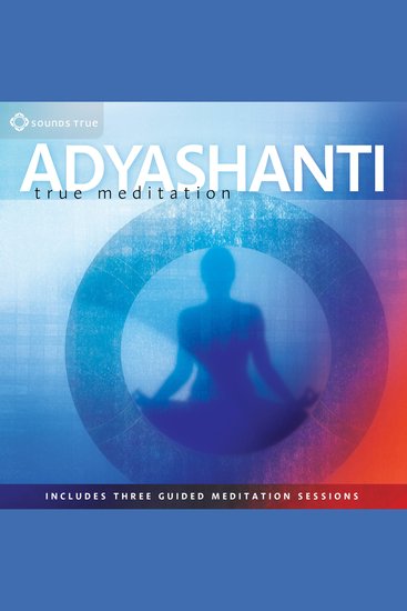 True Meditation - Allowing Everything to Be As It Is - cover