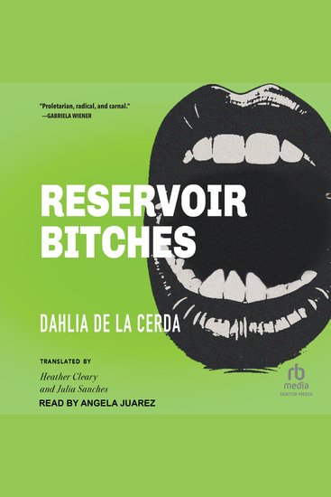 Reservoir Bitches - Stories - cover