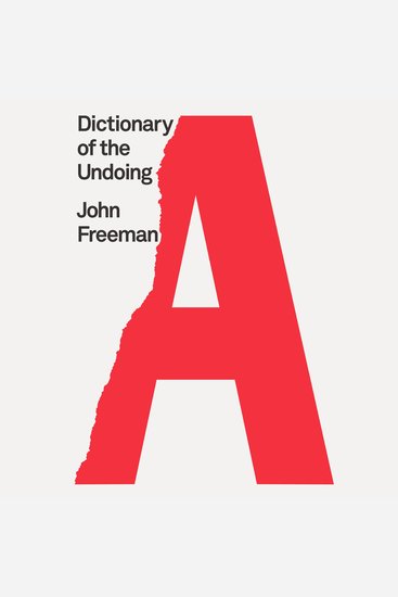 Dictionary of the Undoing - cover