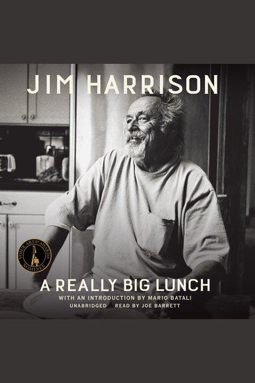 A Really Big Lunch - cover