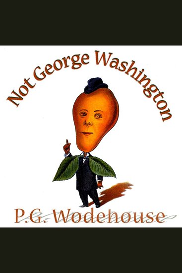 Not George Washington - An Autobiographical Novel - cover