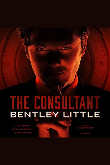 The Consultant - cover