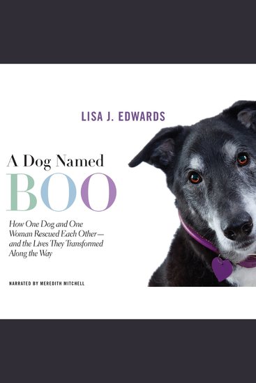 A Dog Named Boo - How One Dog and One Woman Rescued Each Other—and the Lives They Transformed Along the Way - cover