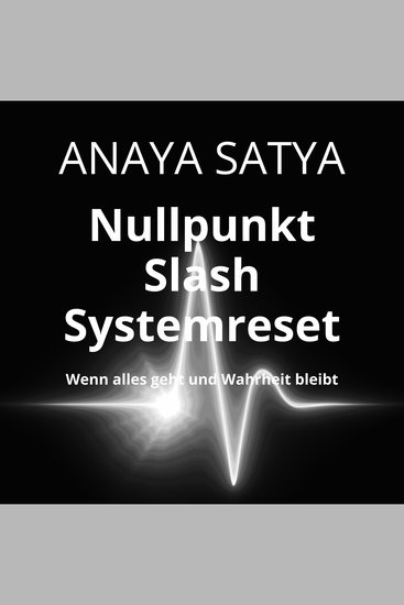 Nullpunkt Slash Systemreset - Wenn alles geht und Wahrheit bleibt - cover