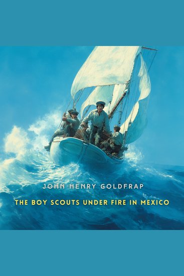 The Boy Scouts Under Fire in Mexico - cover