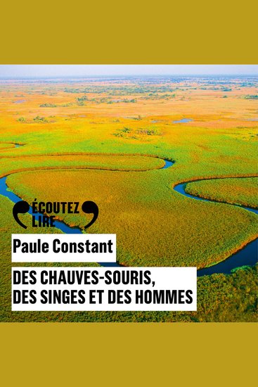 Des chauves-souris des singes et des hommes - cover