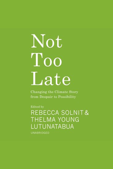 Not Too Late - Changing the Climate Story from Despair to Possibility - cover