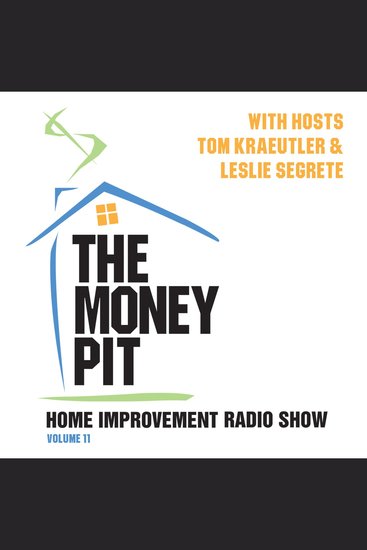 The Money Pit Vol 11 - cover