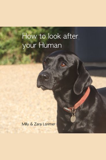 How to Look After Your Human - cover