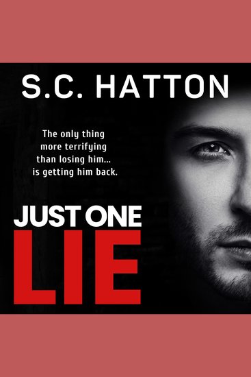 Just One Lie - A Gripping Domestic Thriller - cover