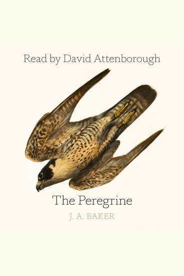 The Peregrine - cover