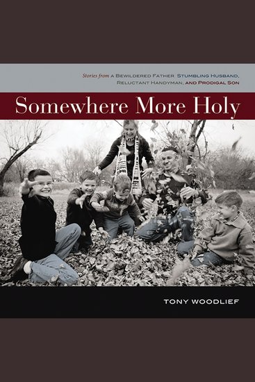 Somewhere More Holy - Stories from a Bewildered Father Stumbling Husband Reluctant Handyman and Prodigal Son - cover