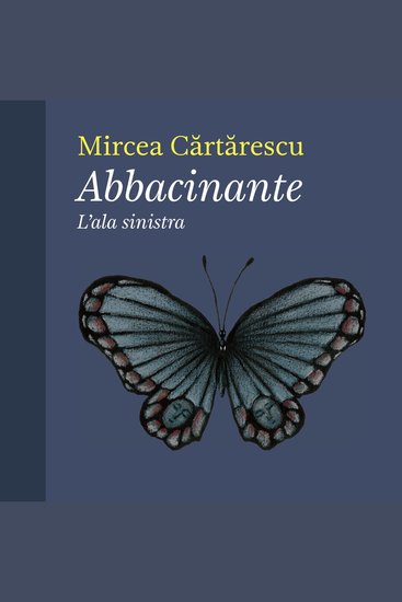 Abbacinante L'ala sinistra - cover