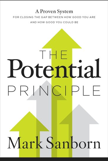 The Potential Principle - A Proven System for Closing the Gap Between How Good You Are and How Good You Could Be - cover