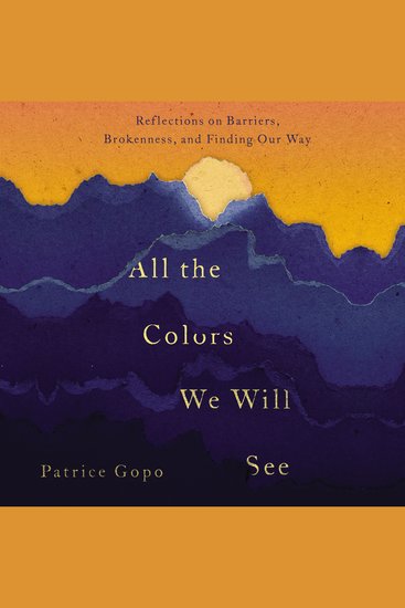 All the Colors We Will See - Reflections on Barriers Brokenness and Finding Our Way - cover
