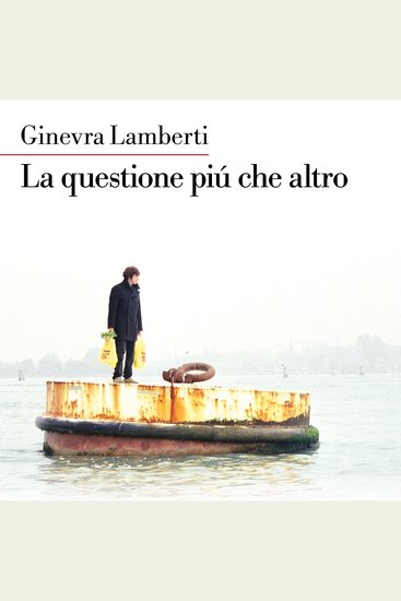 La questione più che altro - cover