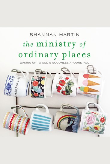 The Ministry of Ordinary Places - Waking Up to God's Goodness Around You - cover