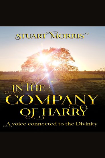 In the company of Harry - A voice connected to the Divinity - cover